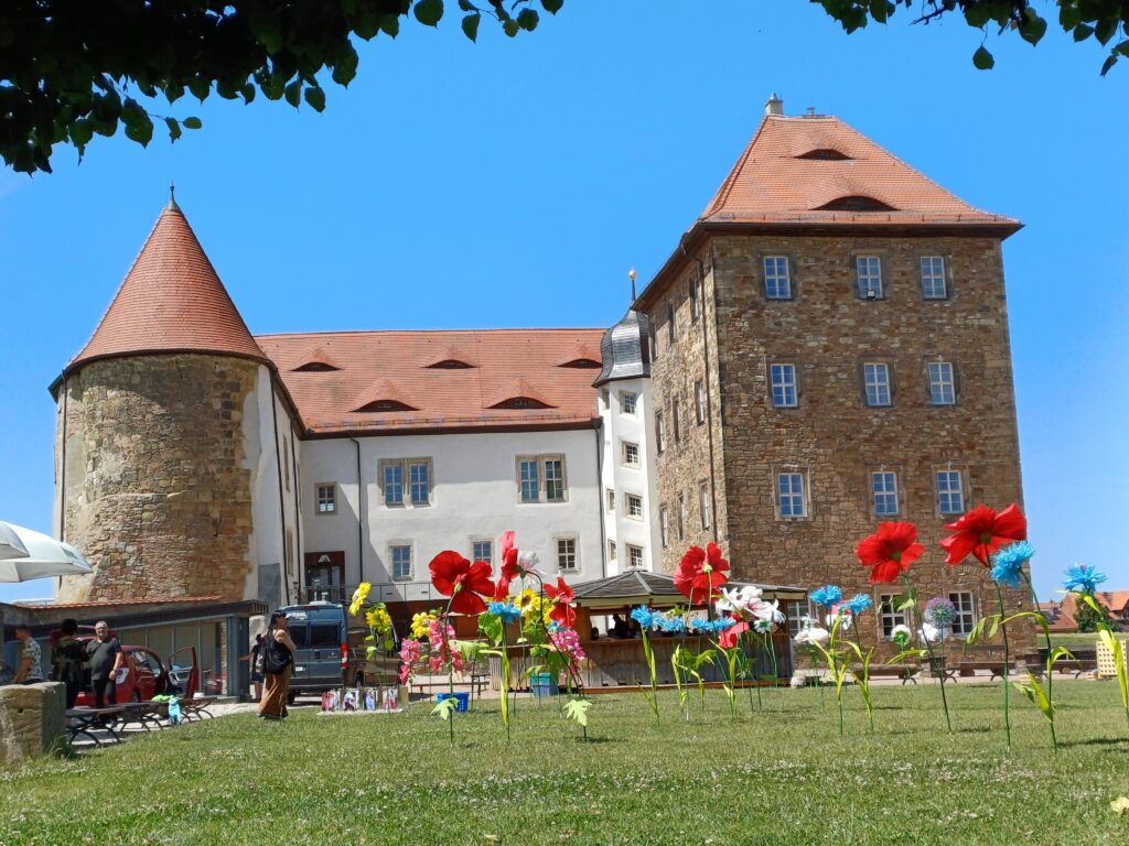 Wiese der Burg Heldrungen mit bunten Papierblumen